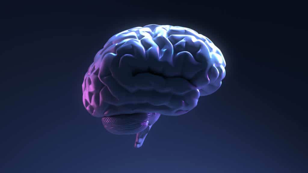 brain side view is dark blue background